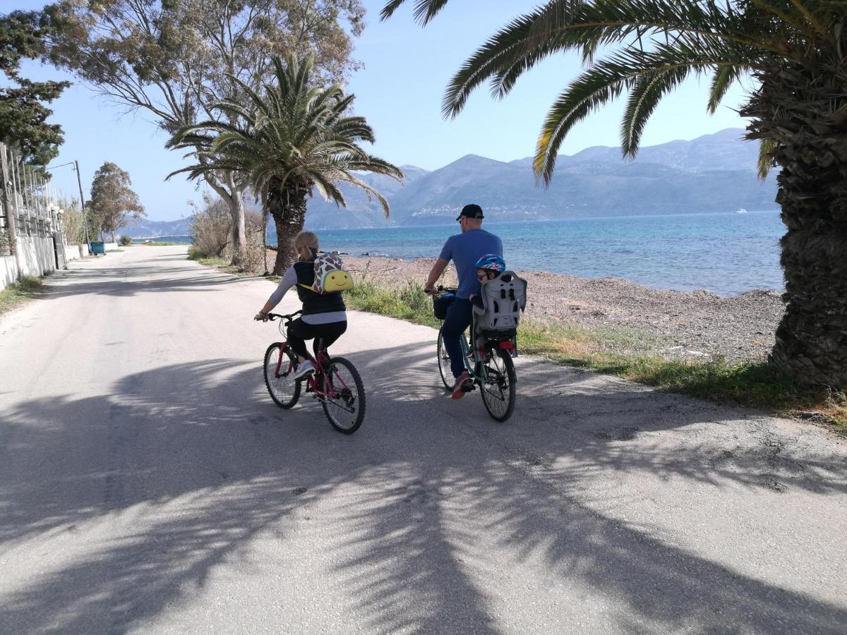 Alekos Beach Houses-Alekos Beach Complex Lixouri Luaran gambar