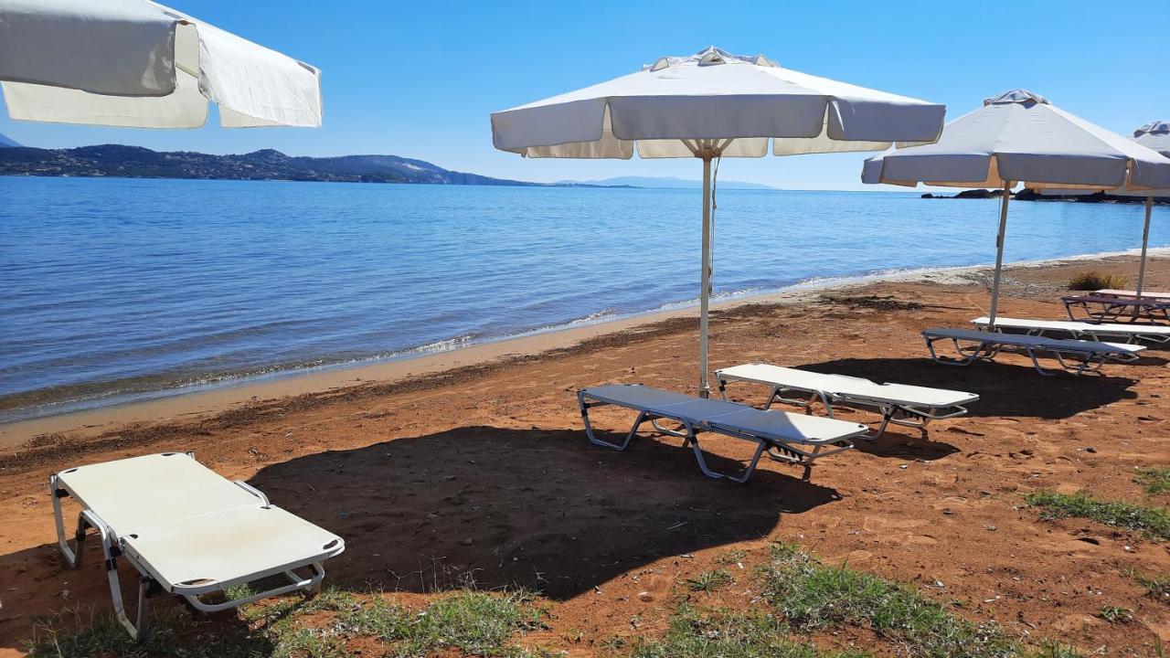 Alekos Beach Houses-Alekos Beach Complex Lixouri Luaran gambar