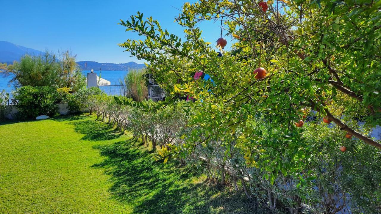 Alekos Beach Houses-Alekos Beach Complex Lixouri Luaran gambar